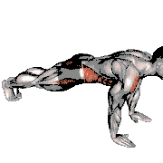 Plank Jacks