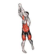 Bodyweight Wood Chop Squat