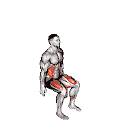 Seated Side Crunch (Wall)