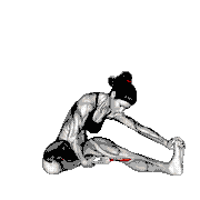 Seated Single Leg Hamstring Stretch