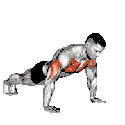 Push-Ups
