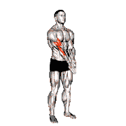 Elbow Extension and Supination Pronation Forearm Stretch