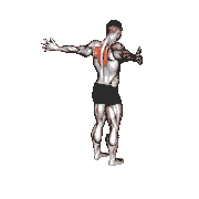 Corner Wall Chest Stretch