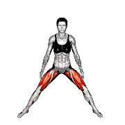 Abduction of One Leg Flexion Stretch demonstration