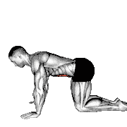 Kneeling Abdominal Draw-In demonstration