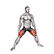Side Lunge Adductor Stretch