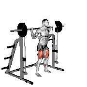 Smith Squat