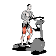 Walk Wave Machine demonstration