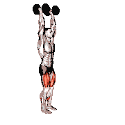 Dumbbell Overhead Lunge