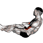 Two Legs Reverse Biceps Curl with Towel demonstration