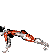 3 Leg Dog Pose demonstration