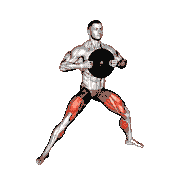 Weighted Plate Cossack Squat