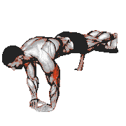 Decline Diamond Push-Up