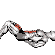 Lying Bent Legs Raise