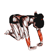 Wrist Ulnar Deviator and Flexor Stretch demonstration