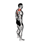 Forward Flexion Neck Stretch