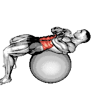 Crunch (On Stability Ball)