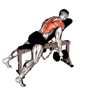 Dumbbell Hammer Grip Incline Bench Two-Arm Row