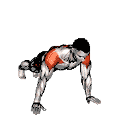 Plank Lateral Raise