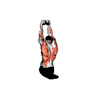 Cable Lateral Pulldown with Mag Grip