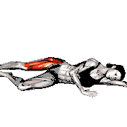 Side Lying Hip Circle