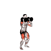 Dumbbell Squat to Overhead Press