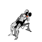 Dumbbell Incline One-Arm Press