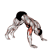 Pike Push-Ups