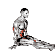 L-Sit on Floor