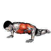 Bodyweight Kneeling Push-Up Row