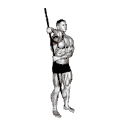 PVC External Rotation