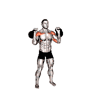 Kettlebell Two-Arm Military Press