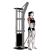 Cable One-Arm Front Raise