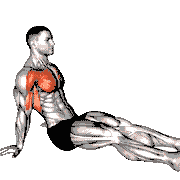 Seated Shoulder Flexor Depressor Retractor Stretch