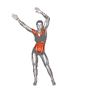 Standing Hip Frontal Rotation Arm Sways