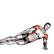 Side Plank Plus