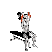 Dumbbell Seated Alternate Overhead Triceps Extension
