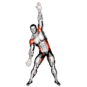 Surrender Side Bend demonstration