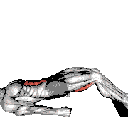 Sliding Floor Bridge Curl on Towel demonstration