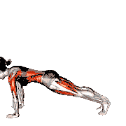 3 Leg Chaturanga Pose demonstration