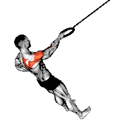 Ring Single Arm Rear Delt Row
