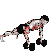 Plank Push-Up Row