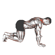 Kneeling Neck Stretch