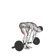 Two-Arm Barbell Stiff Legged Deadlift demonstration