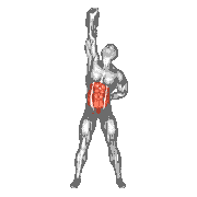 Kettlebell Advanced Windmill