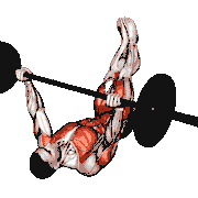 Barbell Leg Twist Press