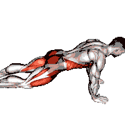 Knee to Elbow Touch Front Plank