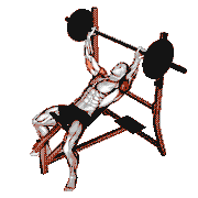 Barbell Pause Incline Bench Press demonstration