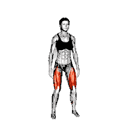 Squat and 5 Bounces
