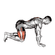 Kneeling Forward Hip Circles